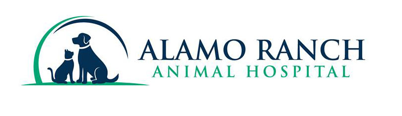 Services - Alamo Ranch Animal Hospital, San Antonio, TX