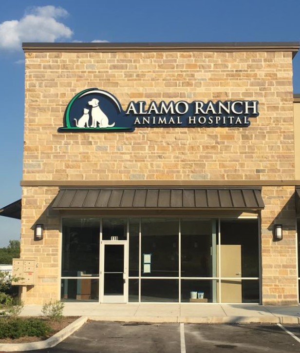 Clinic Tour - Alamo Ranch Animal Hospital, San Antonio, TX