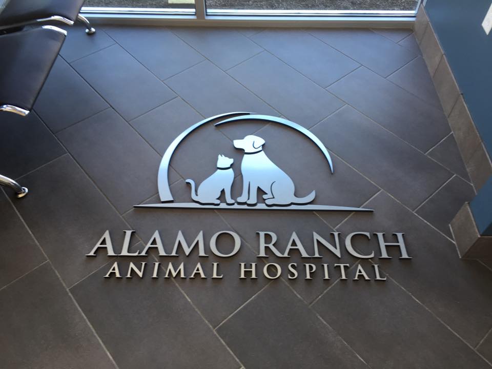 Clinic Tour Alamo Ranch Animal Hospital, San Antonio, TX